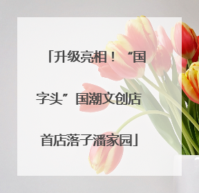 升级亮相！“国字头”国潮文创店首店落子潘家园