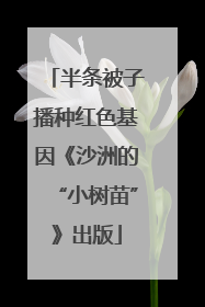 半条被子播种红色基因《沙洲的“小树苗”》出版