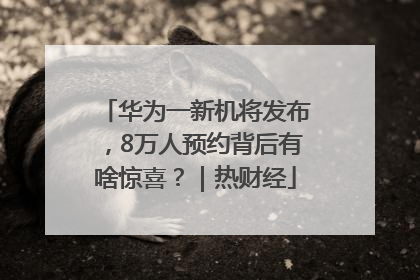 华为一新机将发布，8万人预约背后有啥惊喜？｜热财经