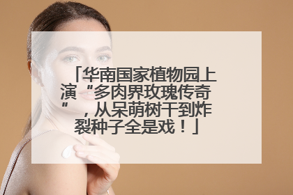 华南国家植物园上演“多肉界玫瑰传奇”，从呆萌树干到炸裂种子全是戏！
