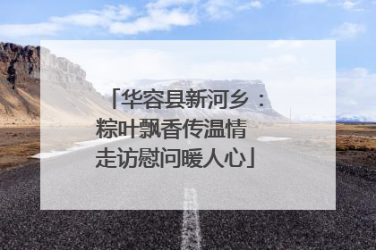 华容县新河乡：粽叶飘香传温情 走访慰问暖人心