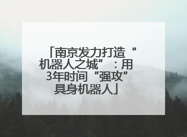 南京发力打造“机器人之城”：用3年时间“强攻”具身机器人