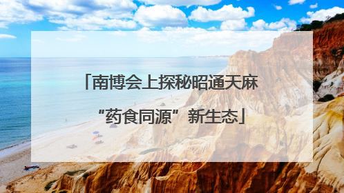 南博会上探秘昭通天麻“药食同源”新生态