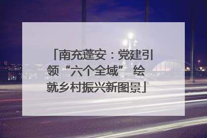 南充蓬安：党建引领“六个全域” 绘就乡村振兴新图景