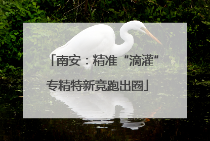 南安：精准“滴灌”专精特新竞跑出圈