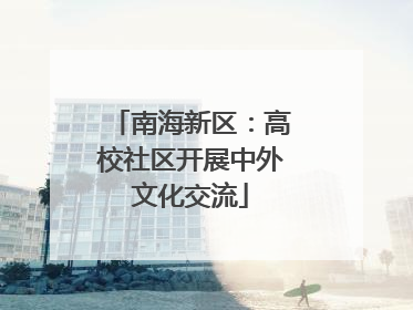 南海新区：高校社区开展中外文化交流