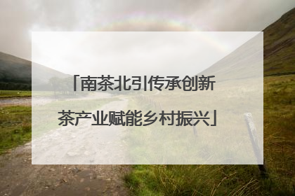 南茶北引传承创新 茶产业赋能乡村振兴
