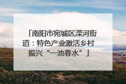 南阳市宛城区溧河街道：特色产业激活乡村振兴“一池春水”
