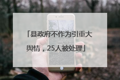 县政府不作为引重大舆情，25人被处理