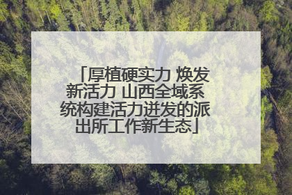 厚植硬实力 焕发新活力 山西全域系统构建活力迸发的派出所工作新生态