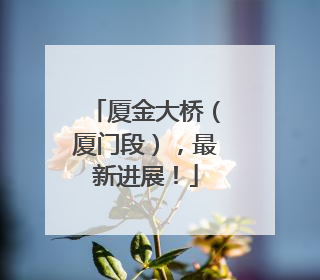 厦金大桥（厦门段），最新进展！