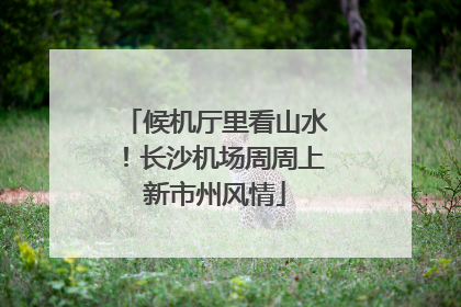 候机厅里看山水！长沙机场周周上新市州风情