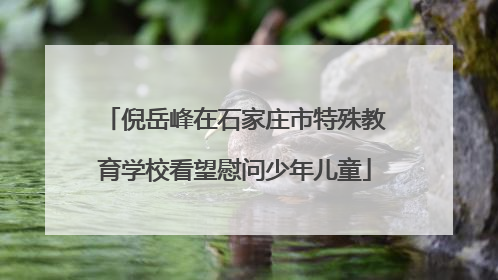 倪岳峰在石家庄市特殊教育学校看望慰问少年儿童