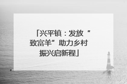 兴平镇：发放“致富羊”助力乡村振兴启新程