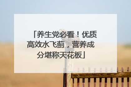 养生党必看！优质高效水飞蓟，营养成分堪称天花板