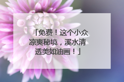 免费！这个小众凉爽秘境，溪水清透美如油画！