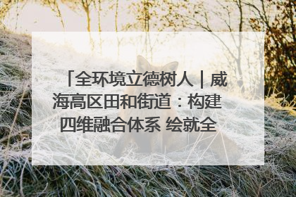 全环境立德树人｜威海高区田和街道：构建四维融合体系 绘就全环境立德树人新画卷