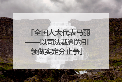 全国人大代表马丽——以司法裁判为引领做实定分止争