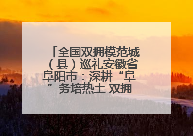 全国双拥模范城（县）巡礼安徽省阜阳市：深耕“阜”务培热土 双拥之花向“阳”开