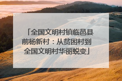 全国文明村镇临邑县前杨新村：从贫困村到全国文明村华丽蜕变