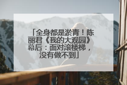 全身都是淤青！陈丽君《我的大观园》幕后：面对滚楼梯，没有做不到