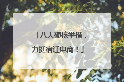 八大硬核举措，力挺宿迁电商！