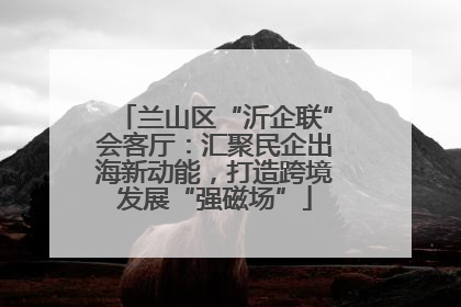 兰山区“沂企联”会客厅：汇聚民企出海新动能，打造跨境发展“强磁场”