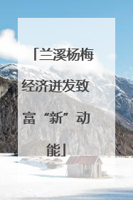 兰溪杨梅经济迸发致富“新”动能