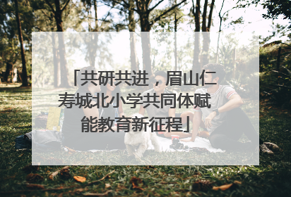 共研共进，眉山仁寿城北小学共同体赋能教育新征程