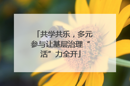 共学共乐，多元参与让基层治理“活”力全开