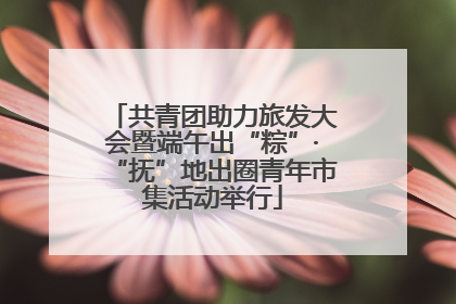 共青团助力旅发大会暨端午出“粽”·“抚”地出圈青年市集活动举行