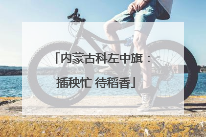 内蒙古科左中旗：插秧忙 待稻香