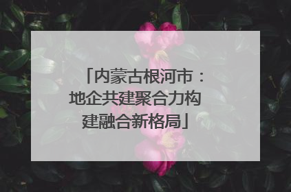 内蒙古根河市：地企共建聚合力构建融合新格局