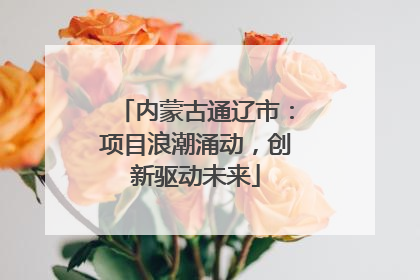 内蒙古通辽市：项目浪潮涌动，创新驱动未来