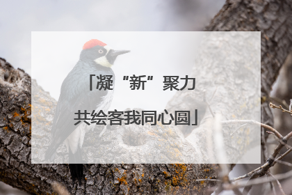 凝“新”聚力 共绘客我同心圆