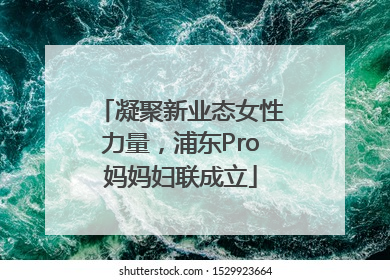 凝聚新业态女性力量，浦东Pro妈妈妇联成立