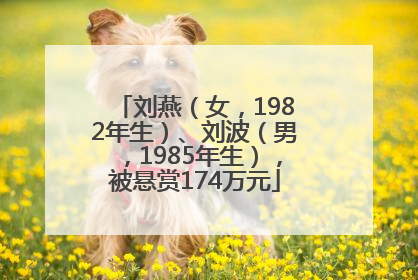 刘燕（女，1982年生）、刘波（男，1985年生），被悬赏174万元