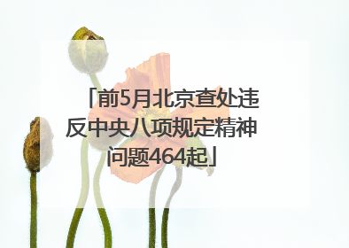 前5月北京查处违反中央八项规定精神问题464起