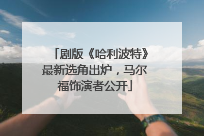 剧版《哈利波特》最新选角出炉，马尔福饰演者公开