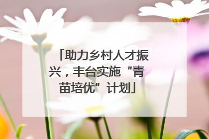 助力乡村人才振兴，丰台实施“青苗培优”计划