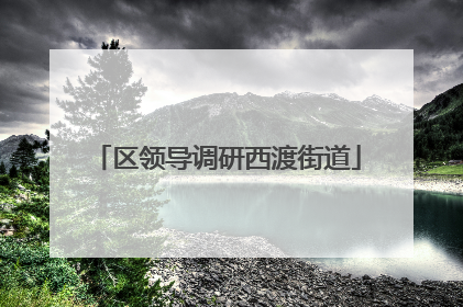 区领导调研西渡街道