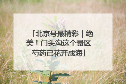 北京号最精彩｜绝美！门头沟这个景区芍药已花开成海
