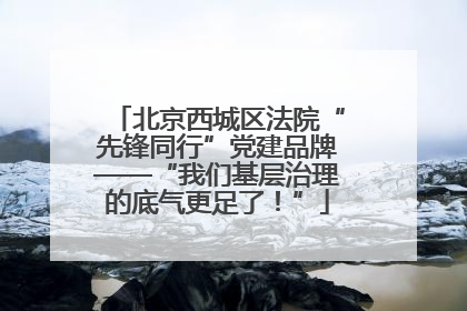 北京西城区法院“先锋同行”党建品牌——“我们基层治理的底气更足了！”