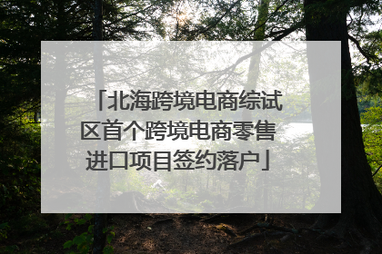 北海跨境电商综试区首个跨境电商零售进口项目签约落户