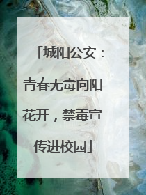 城阳公安：青春无毒向阳花开，禁毒宣传进校园