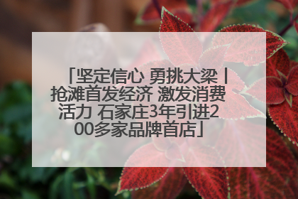 坚定信心 勇挑大梁丨抢滩首发经济 激发消费活力 石家庄3年引进200多家品牌首店