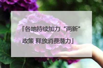 各地持续加力“两新”政策 释放消费潜力