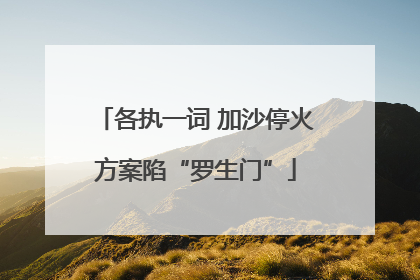 各执一词 加沙停火方案陷“罗生门”