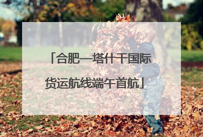 合肥—塔什干国际货运航线端午首航