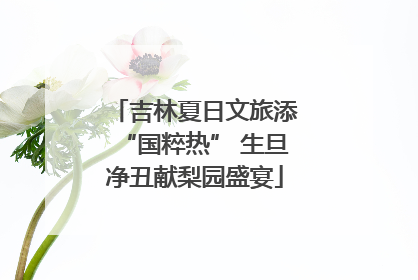 吉林夏日文旅添“国粹热” 生旦净丑献梨园盛宴